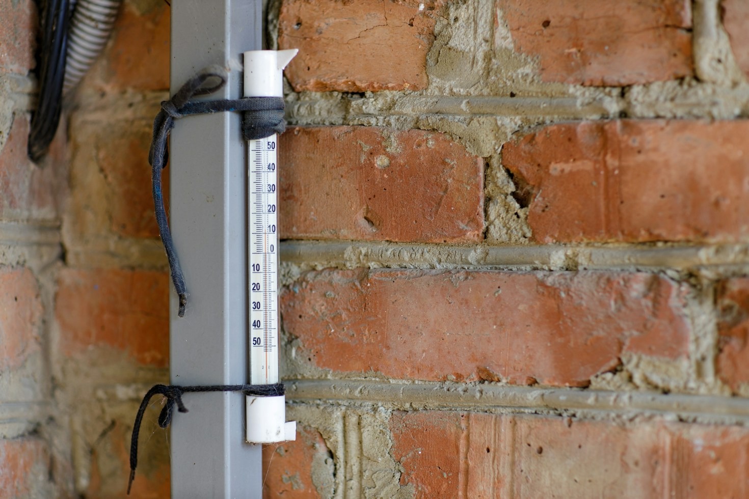 How to Prevent Window Condensation Before It Causes Mold